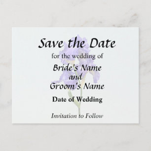 Triple Purple Iris Announcement Postcard