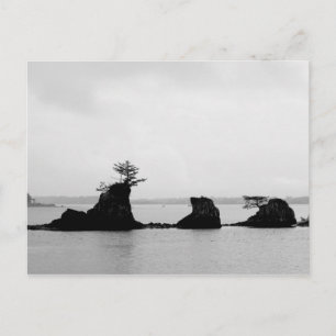 Triple Rock String of Siletz Bay Postcard