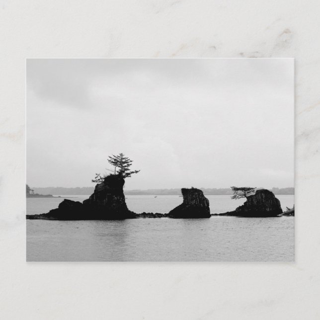 Triple Rock String of Siletz Bay Postcard (Front)