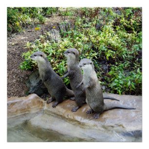 **"Triple Trouble: The Adventures of Otter Triplet Poster