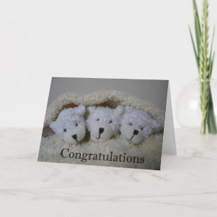 triplet bears congratulations card