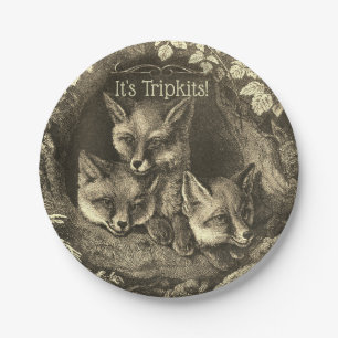 Triplets vintage baby fox woodland shower paper plate