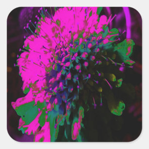 Trippy Abstract Retro Hot Pink and Black Flower Square Sticker