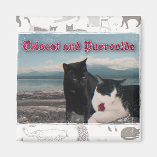 Triscat and Purrsolde magnet