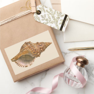 Triton Seashell Shell, Vintage Marine Ocean Animal Rectangular Sticker