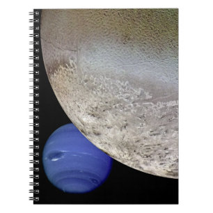 Triton with Neptune Notebook