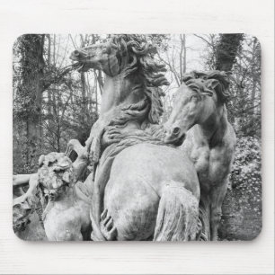 Tritons grooming two horses of the sun mouse pad