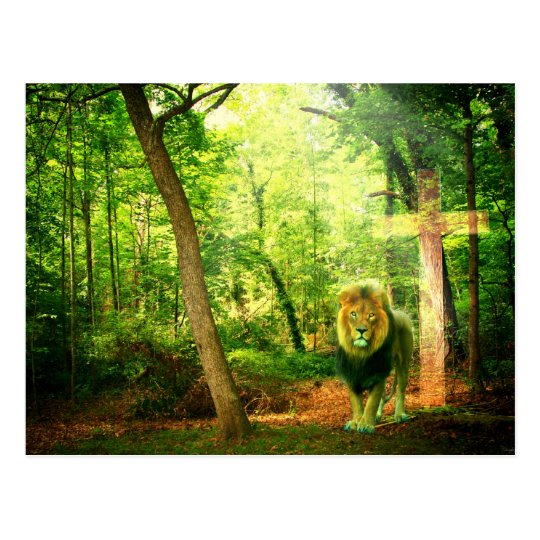 Triumphant King Postcard