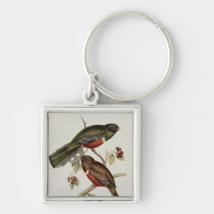 Trogon Collaris Key Ring