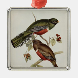 Trogon Collaris Metal Ornament