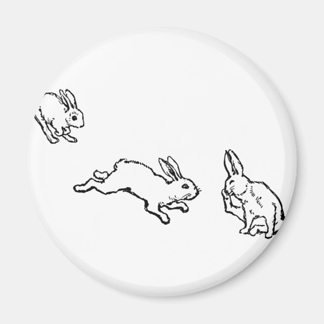 TROIS LAPINS MAGNET (Front)