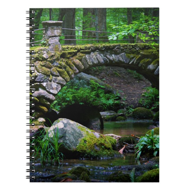 Troll Bridge - Notebook (Front)