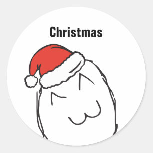 Troll Le Me Memes NAIVE EDITABLE christmas Classic Round Sticker