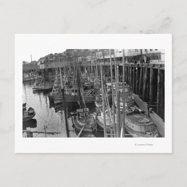 Trolling Fleet at Ketchikan, Alaska Photograph Postcard (Front)