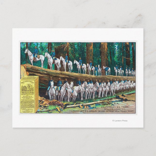 Troop I on and in front of Fallen Giant Postcard (Front)