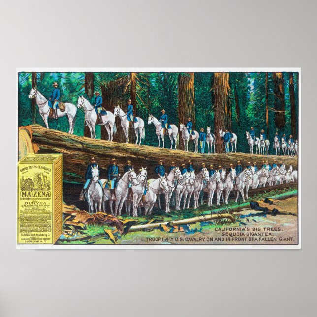 Troop I on and in front of Fallen Giant Poster (Front)