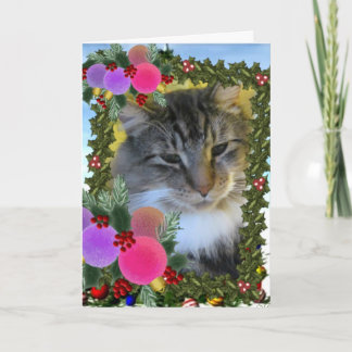 "Trooper The Cat" Heart To Heart Greeting Card
