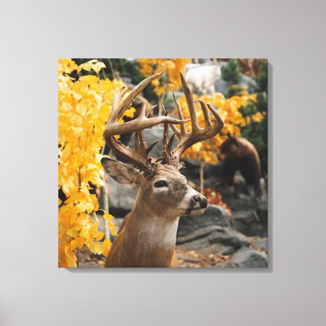 Trophy Deer Canvas Print (Front)