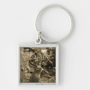 Trophy Deer Key Ring