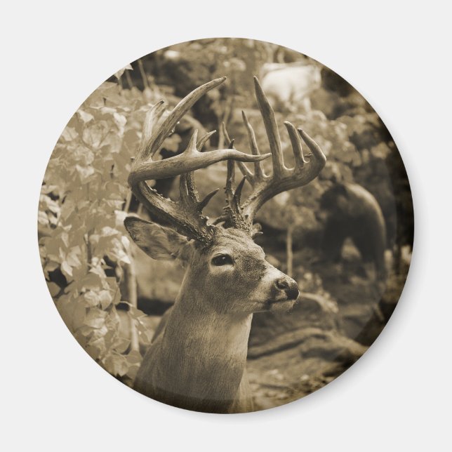 Trophy Deer Magnet (Front)
