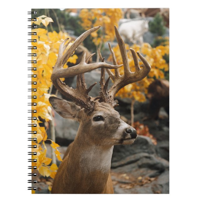 Trophy Deer Notebook (Front)