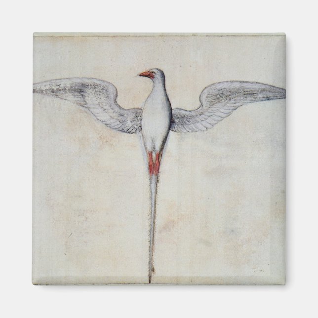 Tropic Bird Magnet (Front)