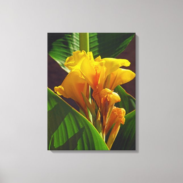 Tropic Flower Canvas Print (Front)