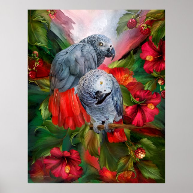 Tropic Spirits - African Greys Poster (Front)