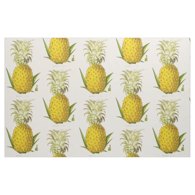 Tropical Accent Pineapple Vintage Illustration Fabric (Fat Quarter)