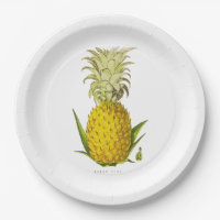Tropical Accent Pineapple Vintage Illustration Med