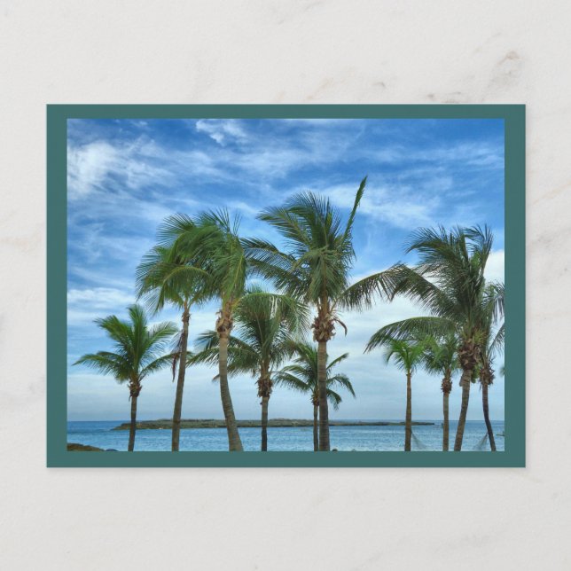 Tropical Afternoon Custom Postcard (Front)