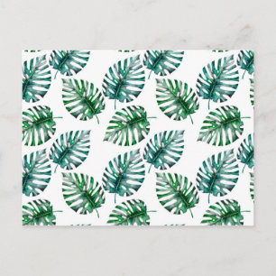 Tropical Aloha Monstera Leaves Pattern Postcard