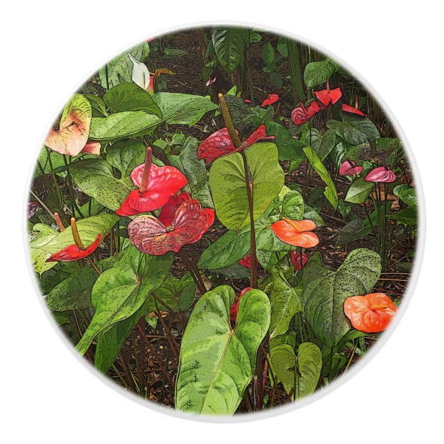 "TROPICAL ANTHURIUM PLANTS" CERAMIC DOOR/PULL CERA CERAMIC KNOB (Front)