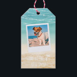 Tropical Aqua Beach Warm Wishes 2-Sided Photo Gift Tags<br><div class="desc">Our fun Sand is the New Snow design is one in a series of fun holiday designs. This version has space for a handwritten note on your printed gift tags. This retro-style photo gift tag features a cute hand-drawn palm tree icon, white handwriting, chalk-styled typography, and a fun sentiment --...</div>