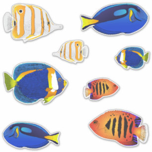 Tropical Aquarium Reef Fish Illustrations