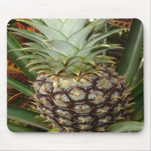 Tropical Backyard Pineapple Mousepad