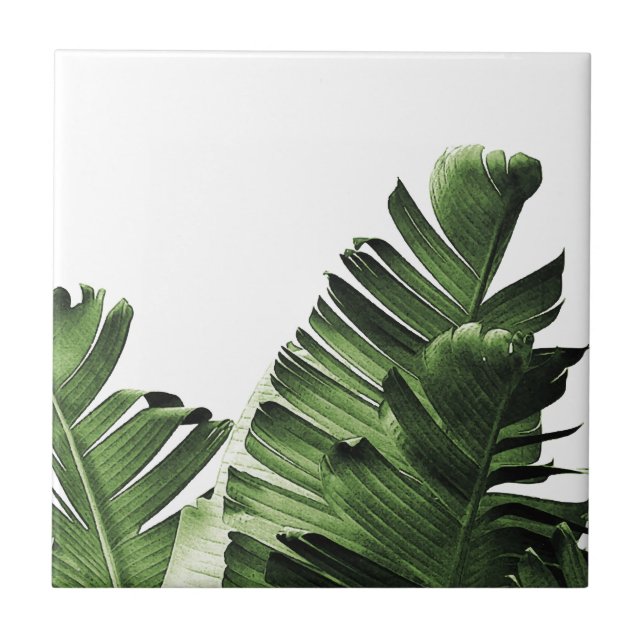 Tropical Banana Leaf Ceramic Tile (Front)