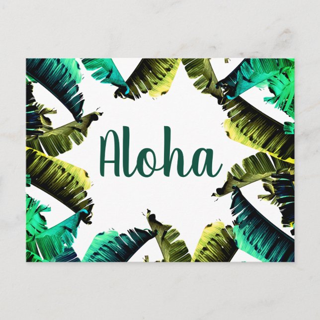 Tropical Banana Leaves Aloha Postcard (Front)