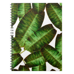 Tropical banana leaves, jungle leaf seamless flora notebook
