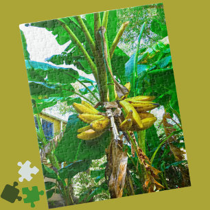 Tropical Banana Palm Tree St Augustine Florida Jigsaw Puzzle