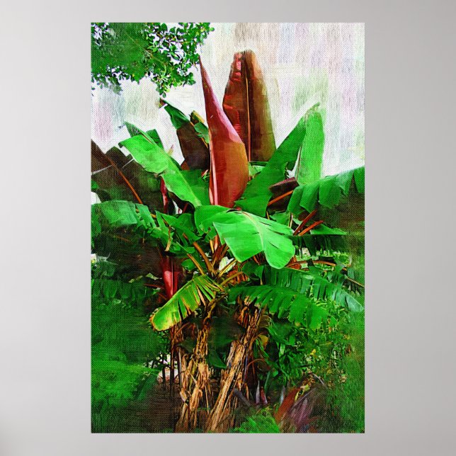 Tropical banana tree foliage - Walk in the Garden Poster (Front)
