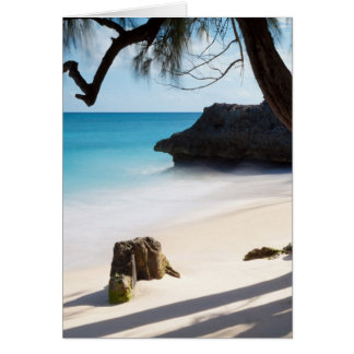 Tropical Beach