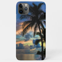 Tropical Beach and Palm Trees