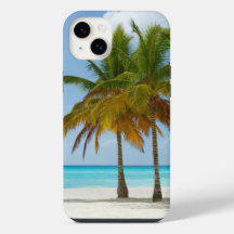 Tropical Beach and Palm Trees