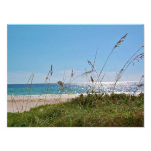 Tropical Beach and Sea Oats Photo Print