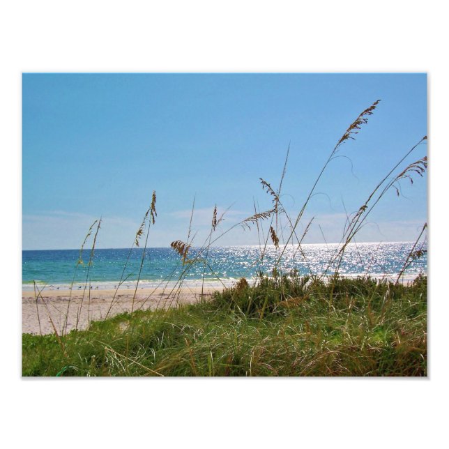 Tropical Beach and Sea Oats Photo Print (Front)
