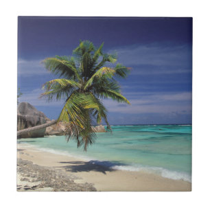 Tropical Beach, Anse Sourse D'Argent, La Digue Tile