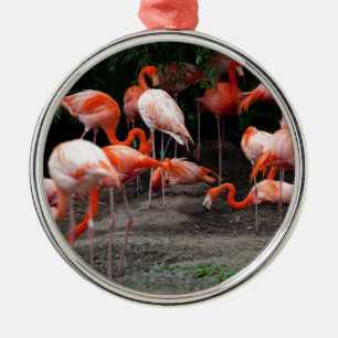 Tropical Beach Birds Destiny Flamingos Metal Ornament