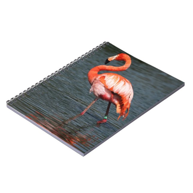 Tropical Beach Birds Destiny Flamingos Notebook (Left Side)