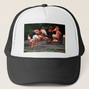Tropical Beach Birds Destiny Flamingos Trucker Hat